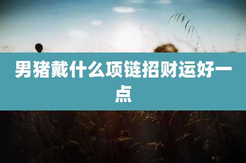 男猪戴什么项链招财运好一点