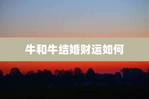 牛和牛结婚财运如何