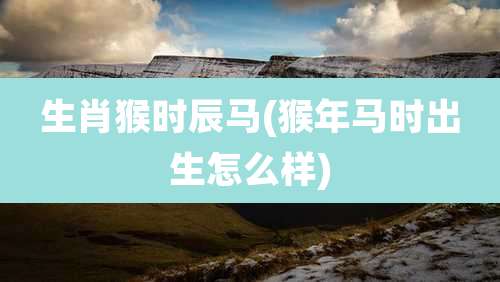 生肖猴时辰马(猴年马时出生怎么样)