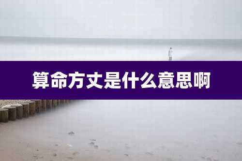 算命方丈是什么意思啊