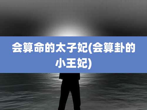 会算命的太子妃(会算卦的小王妃)