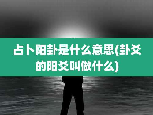 占卜阳卦是什么意思(卦爻的阳爻叫做什么)