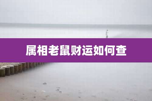 属相老鼠财运如何查