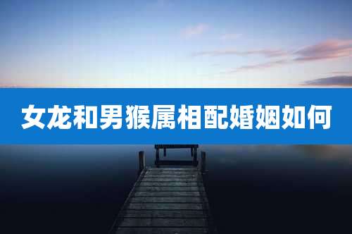 女龙和男猴属相配婚姻如何