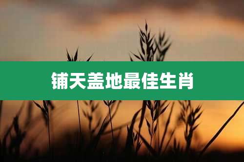 铺天盖地最佳生肖