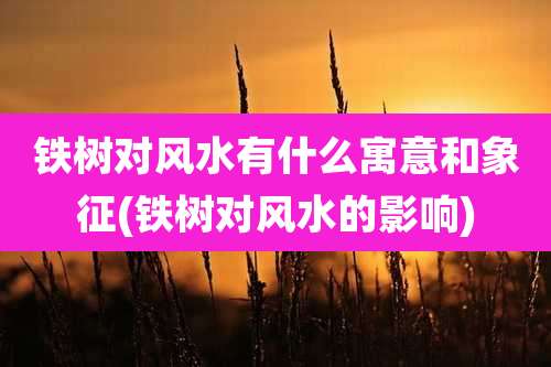 铁树对风水有什么寓意和象征(铁树对风水的影响)