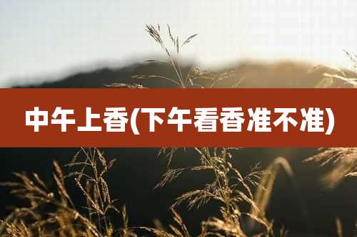 中午上香(下午看香准不准)