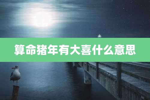 算命猪年有大喜什么意思