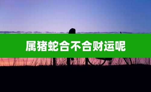 属猪蛇合不合财运呢