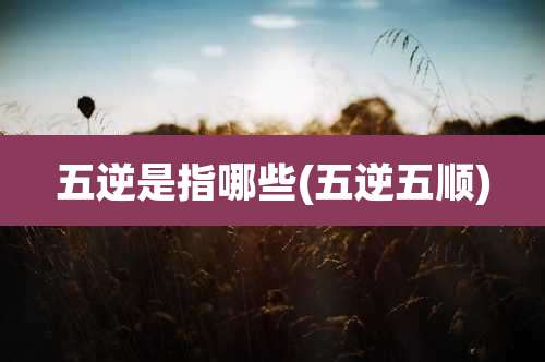 五逆是指哪些(五逆五顺)