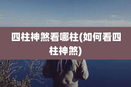 四柱神煞看哪柱(如何看四柱神煞)