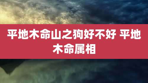 平地木命山之狗好不好 平地木命属相