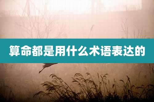 算命都是用什么术语表达的