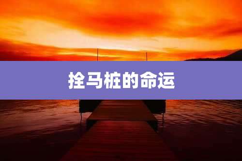 拴马桩的命运