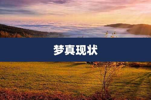 梦真现状
