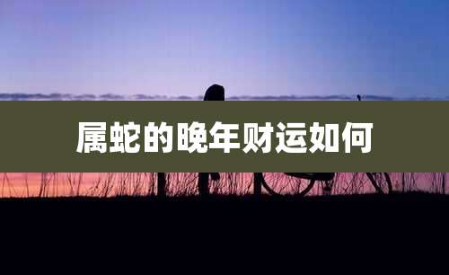 属蛇的晚年财运如何