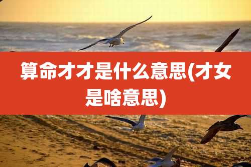 算命才才是什么意思(才女是啥意思)