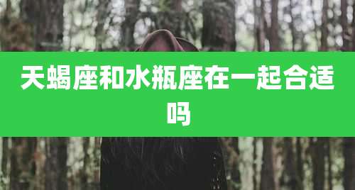 天蝎座和水瓶座在一起合适吗
