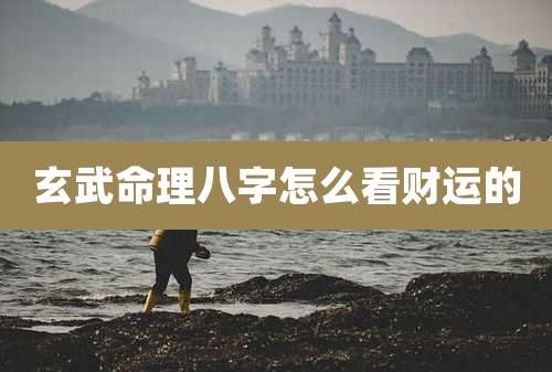 玄武命理八字怎么看财运的