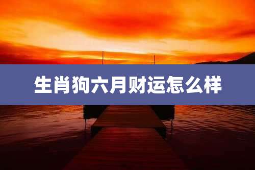 生肖狗六月财运怎么样