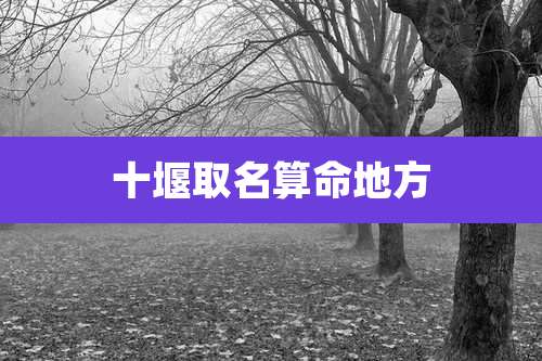 十堰取名算命地方