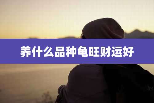 养什么品种龟旺财运好