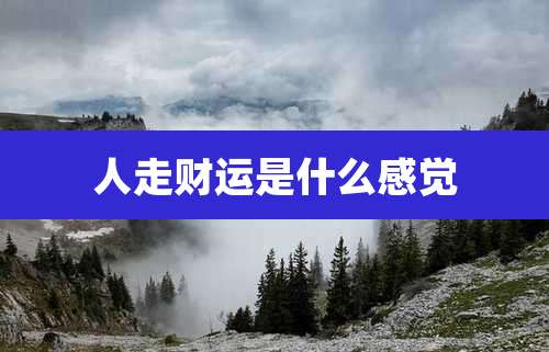 人走财运是什么感觉