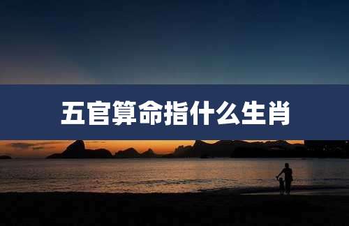 五官算命指什么生肖