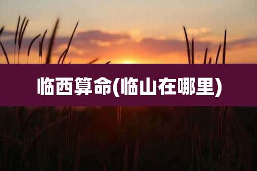 临西算命(临山在哪里)
