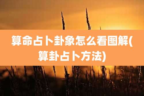 算命占卜卦象怎么看图解(算卦占卜方法)