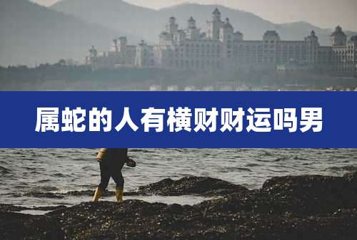 属蛇的人有横财财运吗男