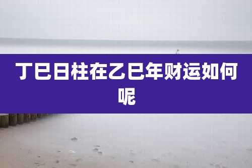 丁巳日柱在乙巳年财运如何呢