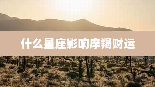 什么星座影响摩羯财运