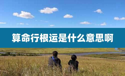 算命行根运是什么意思啊