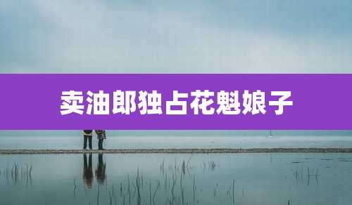 卖油郎独占花魁娘子