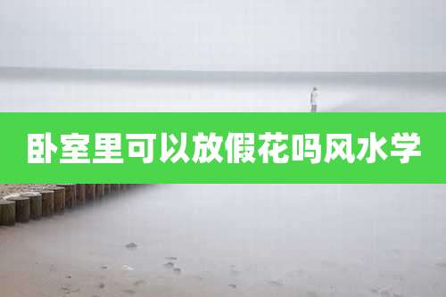 卧室里可以放假花吗风水学