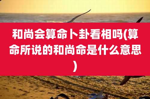 和尚会算命卜卦看相吗(算命所说的和尚命是什么意思)