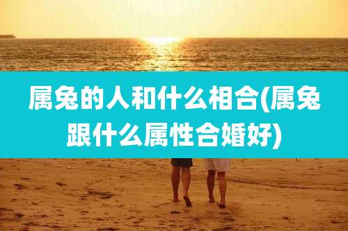 属兔的人和什么相合(属兔跟什么属性合婚好)