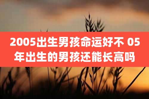 2005出生男孩命运好不 05年出生的男孩还能长高吗