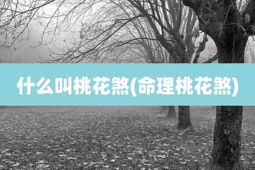 什么叫桃花煞(命理桃花煞)