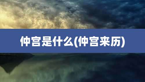 仲宫是什么(仲宫来历)
