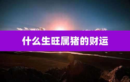 什么生旺属猪的财运