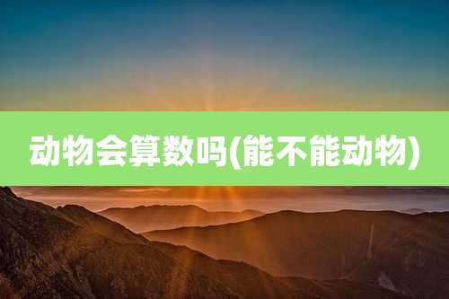 动物会算数吗(能不能动物)
