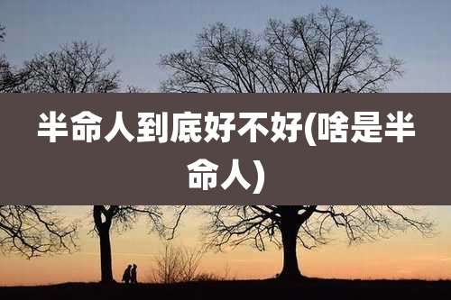 半命人到底好不好(啥是半命人)