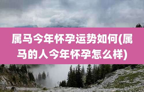 属马今年怀孕运势如何(属马的人今年怀孕怎么样)