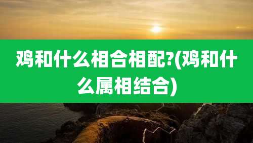 鸡和什么相合相配?(鸡和什么属相结合)