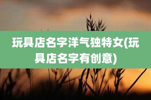 玩具店名字洋气独特女(玩具店名字有创意)