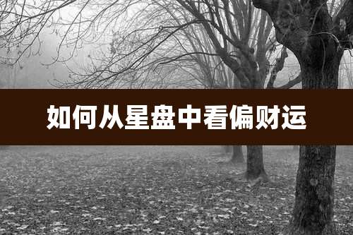 如何从星盘中看偏财运