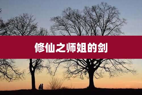 修仙之师姐的剑