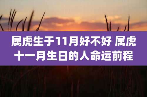 属虎生于11月好不好 属虎十一月生日的人命运前程
